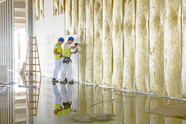 Best Crawl Space Insulation  in Clairton, PA
